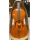 BUCUR CELLO 3/4 LIUTERIA MAESTRO II°