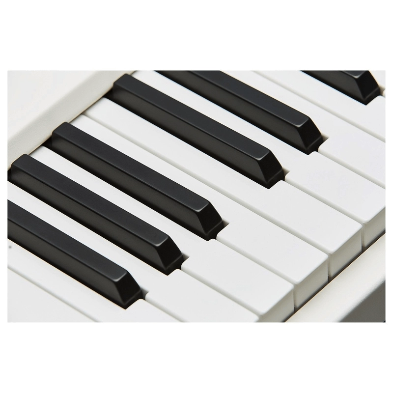 Mellotron M4000D Mini Sintetizzatore 37 Tasti