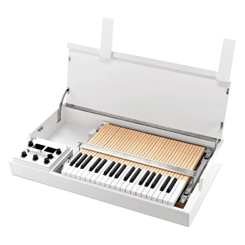 Mellotron Regular M4000D Sintetizzatore