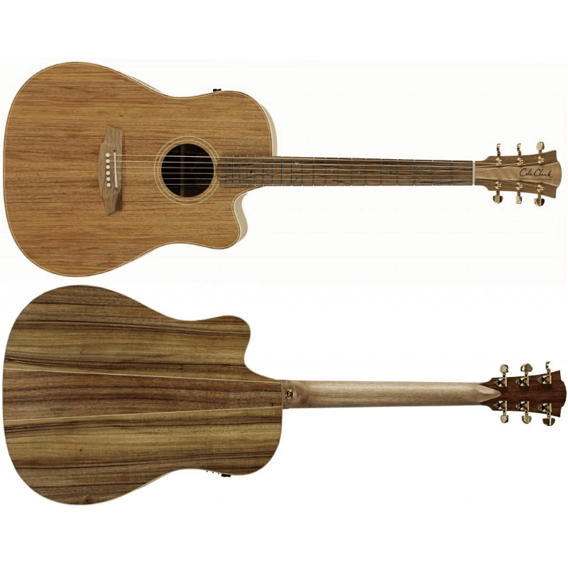 Cole Clark Fat Lady FL2EC BLBLR Blackwood Rosewood fingerboard