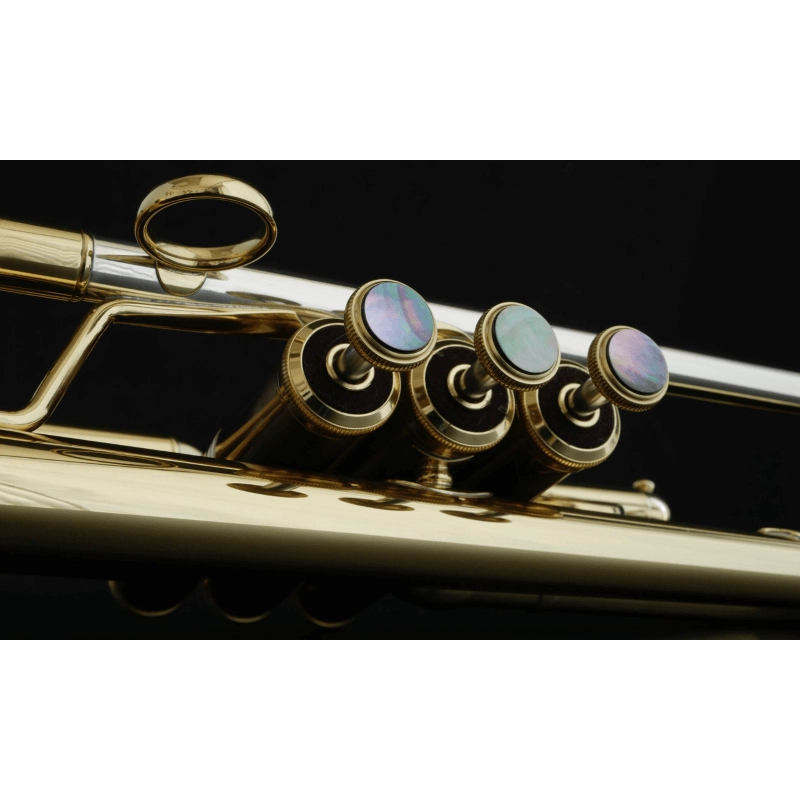 Carol Brass Andrea Giuffredi All-around Signature Model Tromba in Sib Laccata Reverse