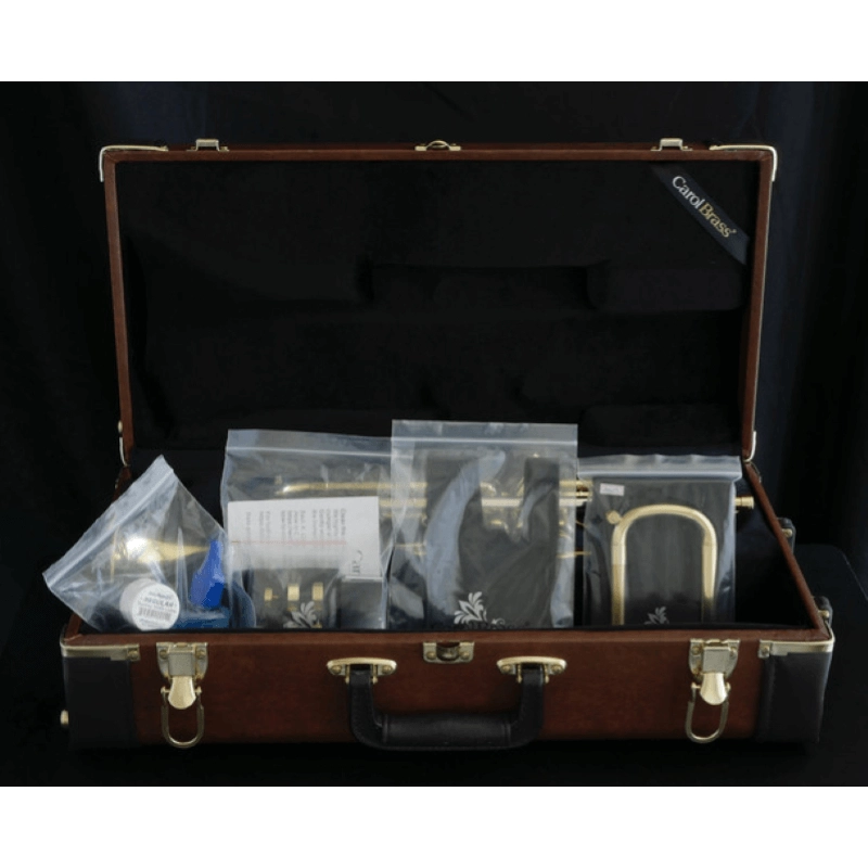 Carol Brass Andrea Giuffredi All-around Signature Model Tromba in Sib Laccata Reverse