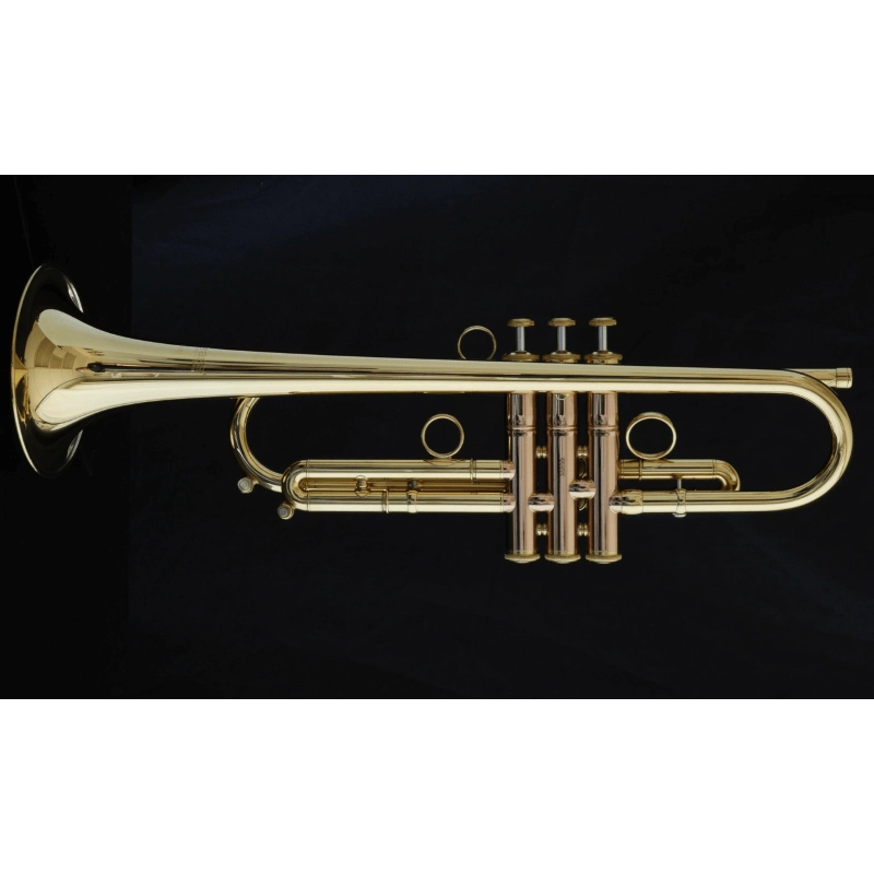 Carol Brass Andrea Giuffredi All-around Signature Model Tromba in Sib Laccata Reverse