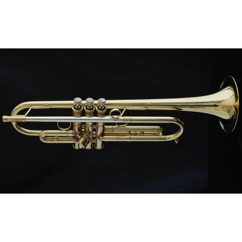 Carol Brass Andrea Giuffredi All-around Signature Model Tromba in Sib Laccata Reverse