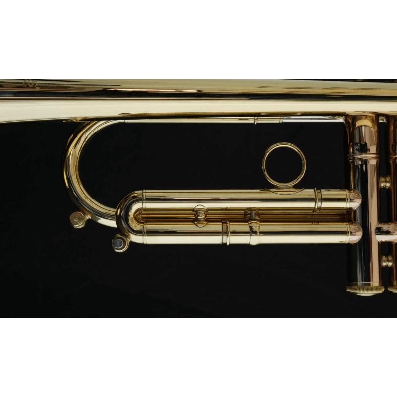 Carol Brass Andrea Giuffredi All-around Signature Model Tromba in Sib Laccata Reverse