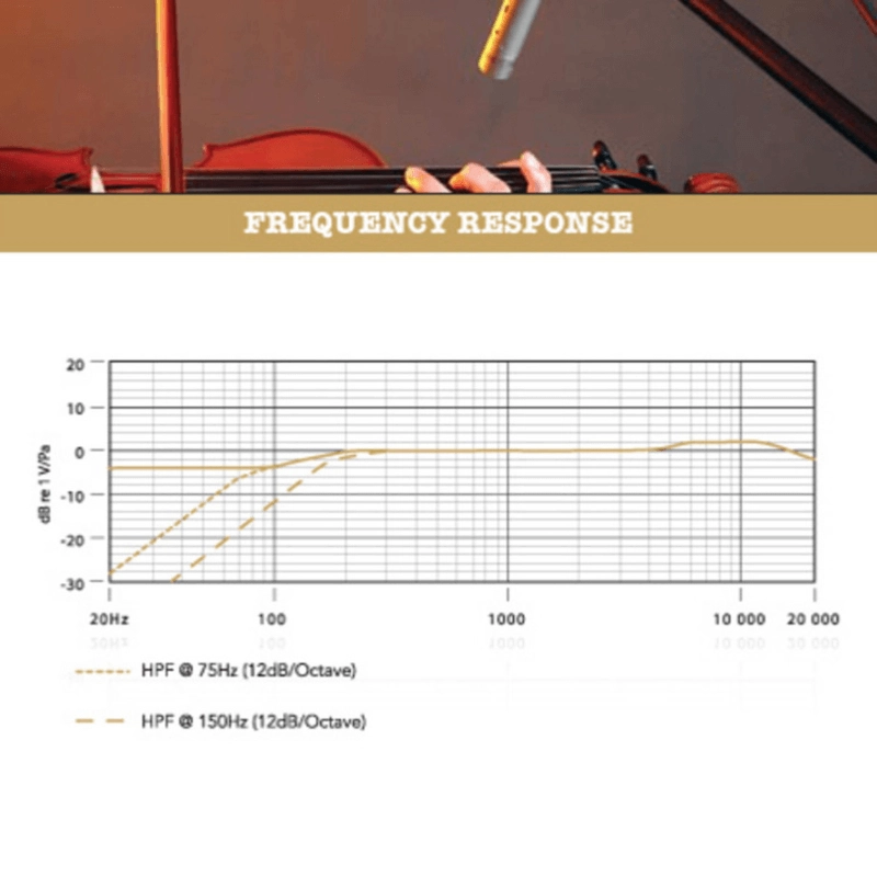 Rode NT55M PAIR Coppia Microfoni a Consdensatore