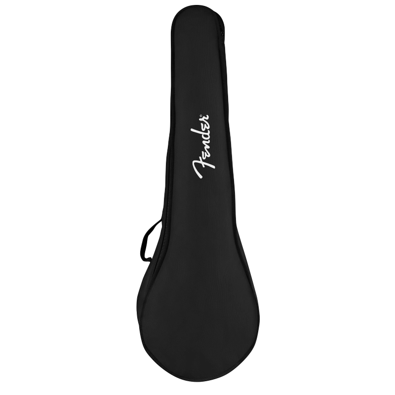 Fender PB-180E Banjo, Walnut Fingerboard, Natural 0970302321