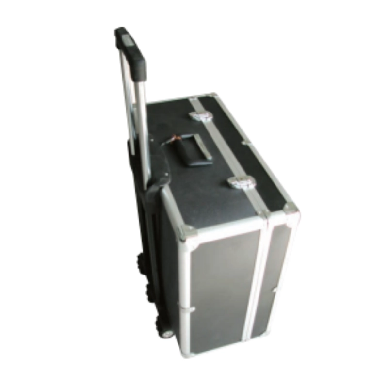 Astuccio Fisarmonica 120 Bassi con Trolley