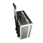 Astuccio Fisarmonica 120 Bassi con Trolley