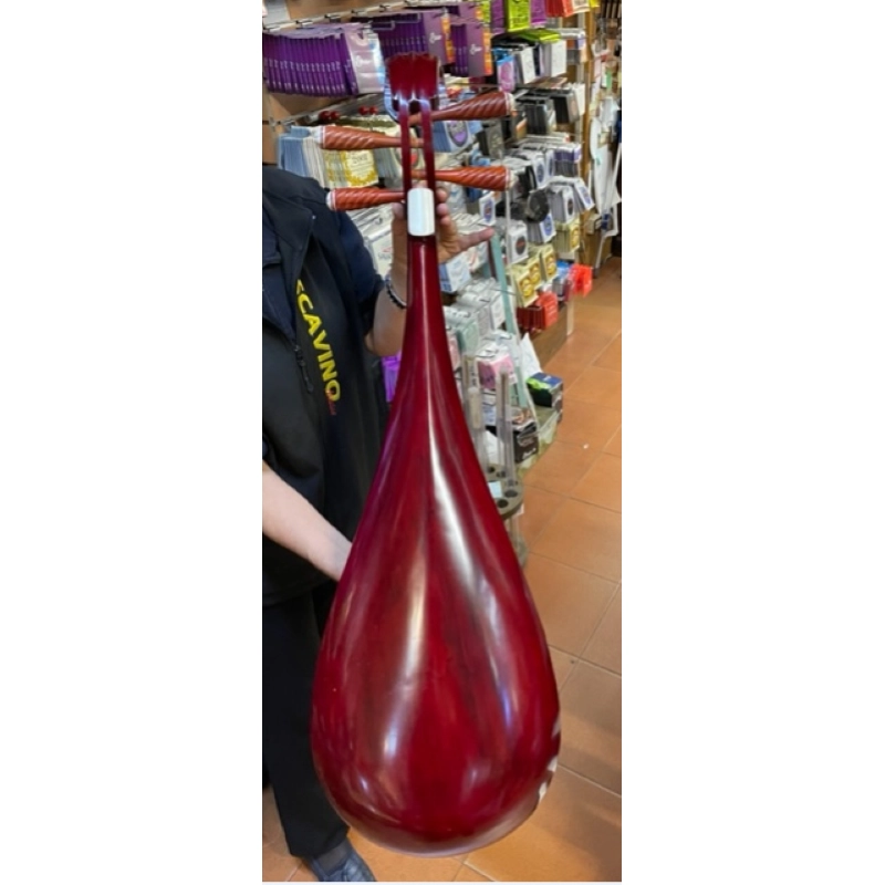 Pipa Cinese con Borsa, Liuto