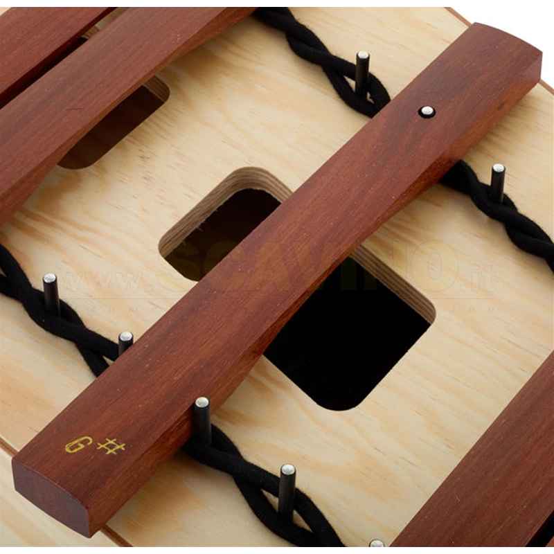 Studio 49 HAX1000 Estensione Cromatica per AX1000