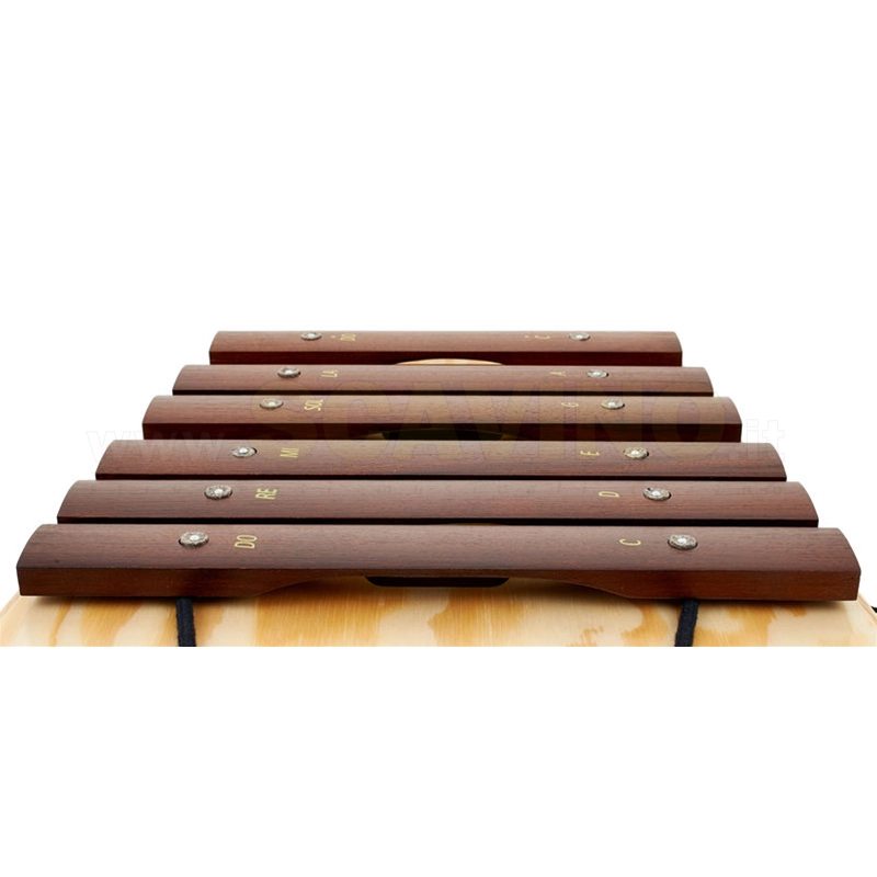 STUDIO 49 AX500 det4