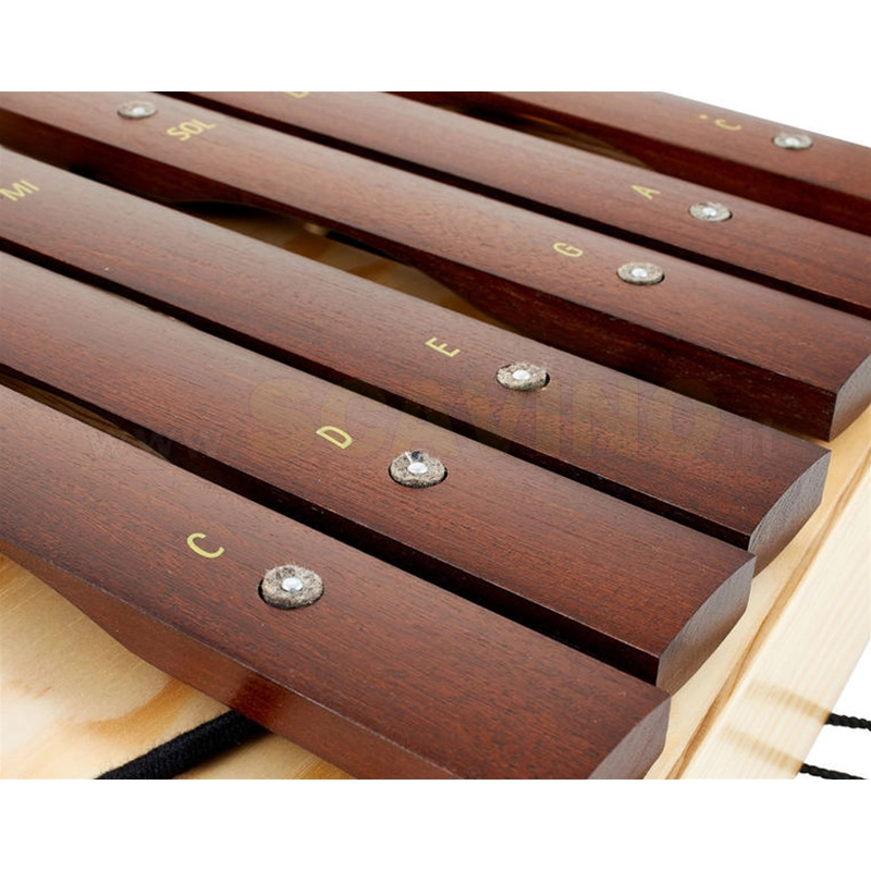 STUDIO 49 AX500 det5