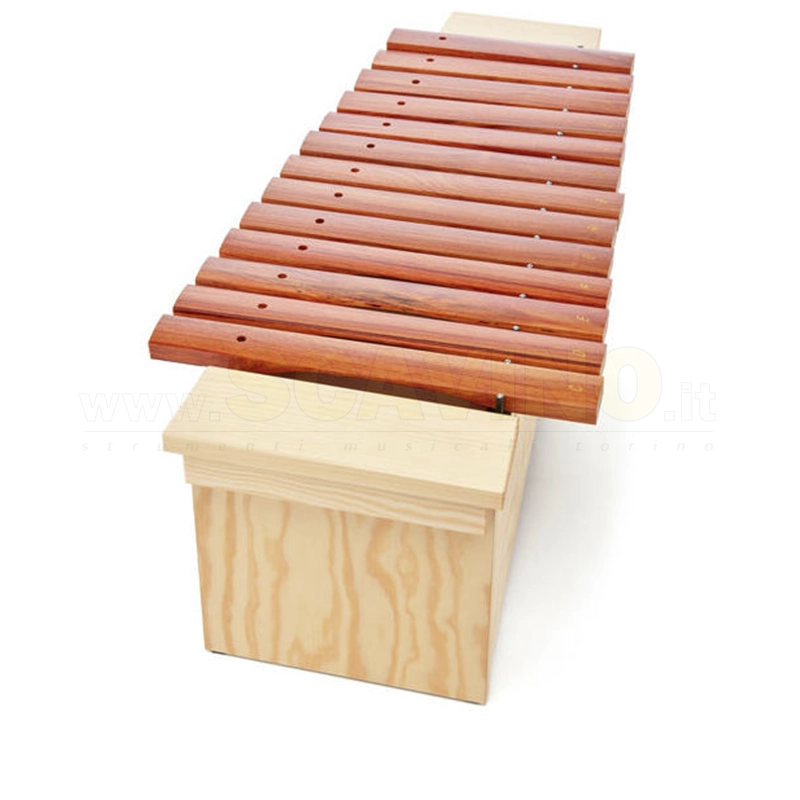 Studio 49 AX1600 Alto Xilofono diatonico