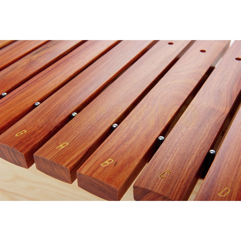 Studio 49 AX1600 Alto Xilofono diatonico