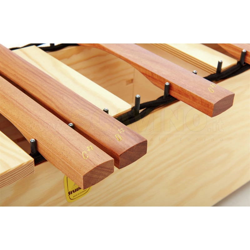 Studio 49 H-AX 1600 Chromatic Extension det3