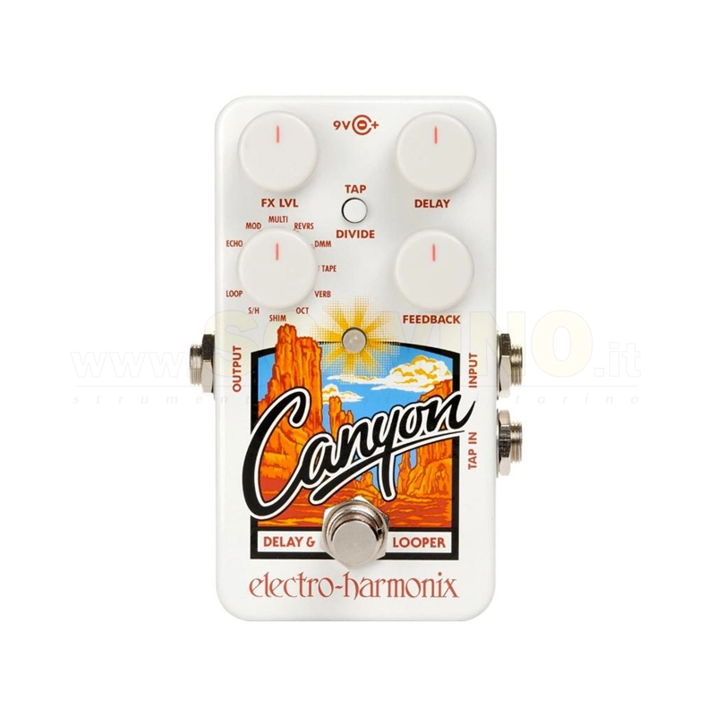 Electro Harmonix Canyon Delay and Looper