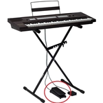 Ahlborn Pedale Espressione/ Volume per Parvus II