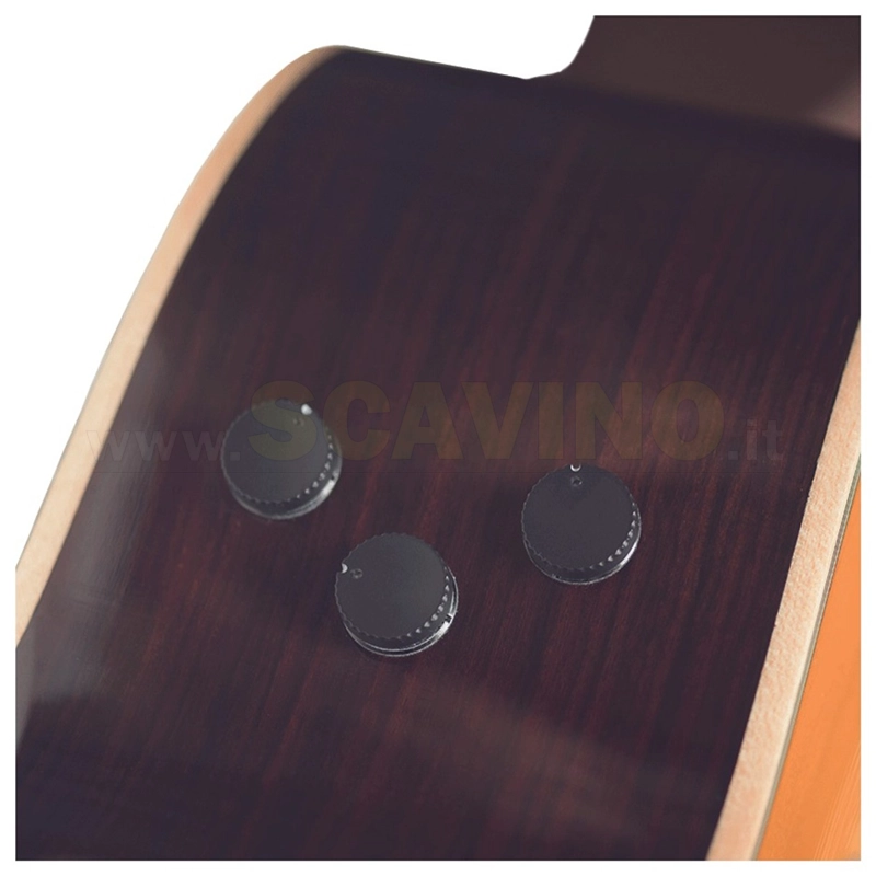 Yamaha TransAcoustic LS-TA-BS