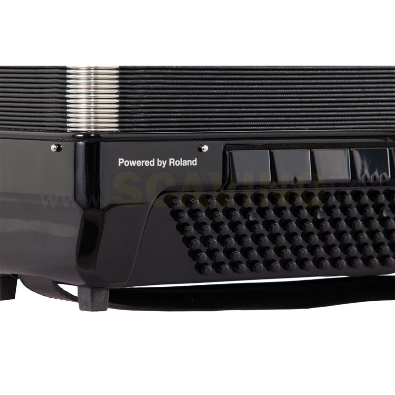 Bugari EVO Fisarmonica Haria P41