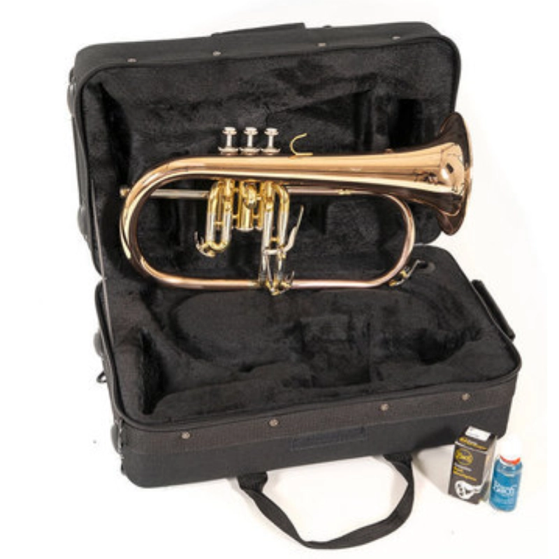 Bach FH501 Flicorno Soprano in Sib, laccato