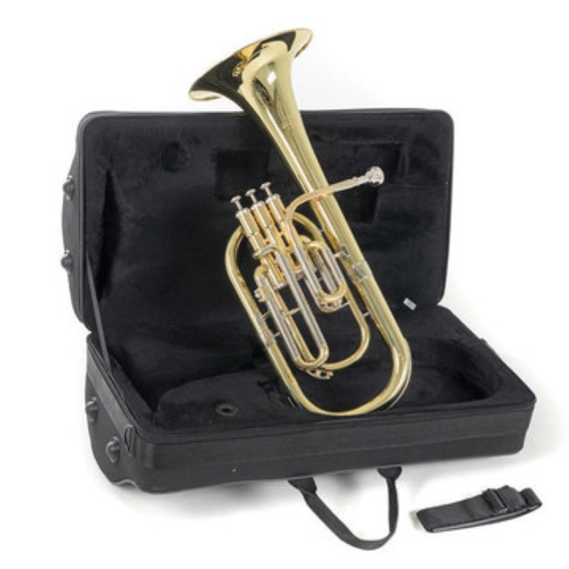 Flicorno Alto Mib Roy Benson AH-301