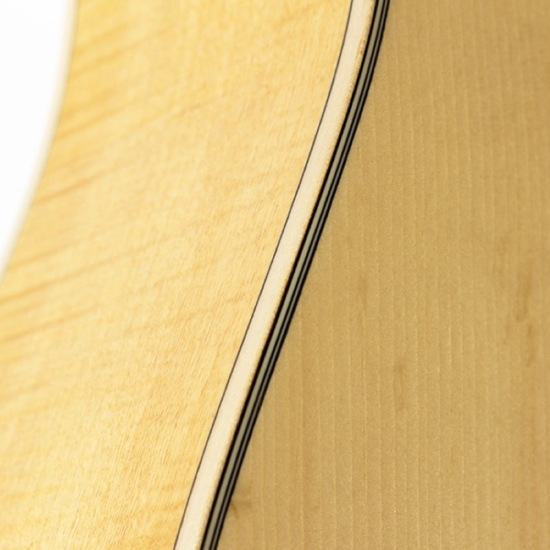 Goldwood Collina Dreadnought Cutaway Maple Ed