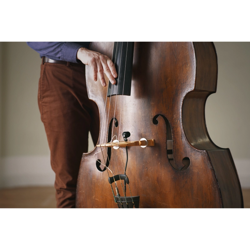 Neumann MCM 114 SET BASS completo di Staffa per Contrabbasso