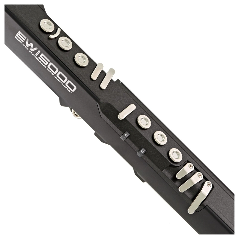 Akai Professional EWI5000 Controller di Strumenti a Fiato MIDI USB Wireless Nero