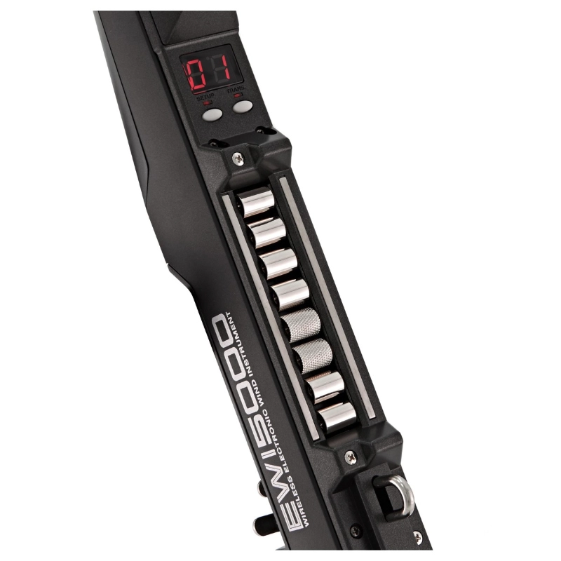 Akai Professional EWI5000 Controller di Strumenti a Fiato MIDI USB Wireless Nero