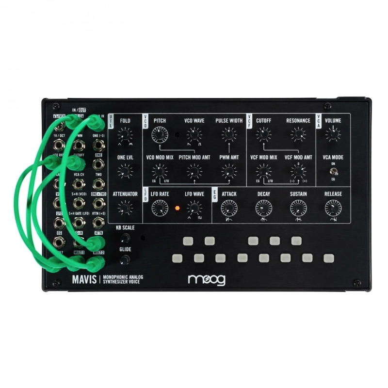 Moog Music Mavis Sintetizzatore Analagico Monofonoico in Kit di Montaggio