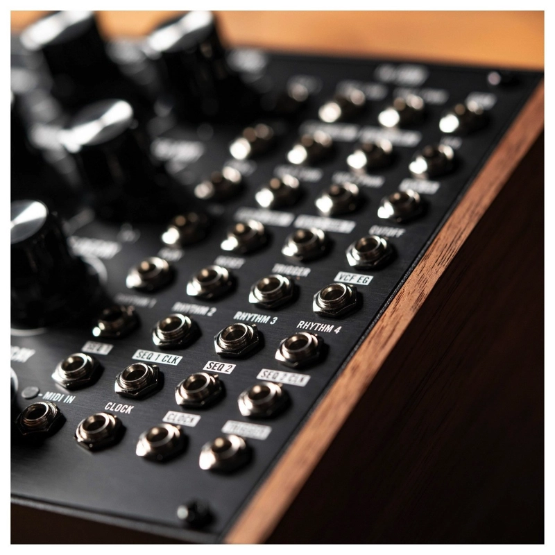 Moog Music Subharmonicon Sintetizzatore Analogico Semi-Modulare