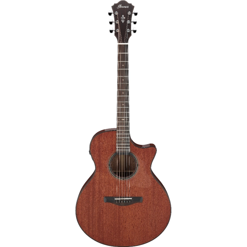 Ibanez AE440LGS Chitarra Acustica Elettrificata