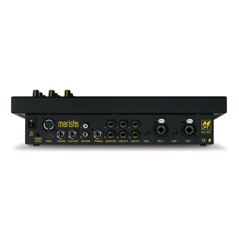 Mlive Merish 5 X2 Lettore Touch Screen di Basi Musicali, File MIDI e Video con Testo