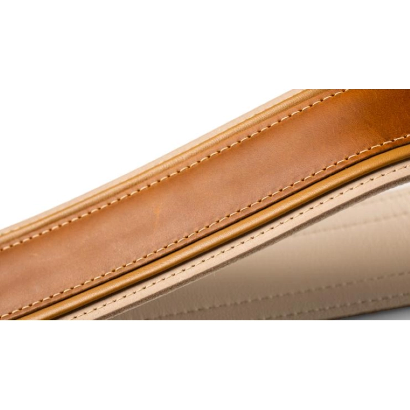 Taylor Reflections 2.5" Leather Guitar Strap - Palomino