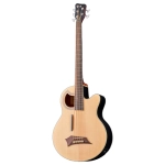 Warwick Alien Deluxe 5 Fretless Natural Satin