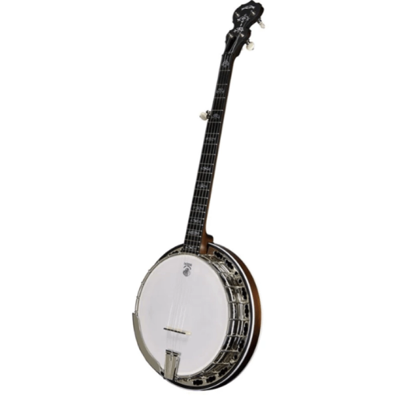 usato Banjo Deering Sierra 5 corde