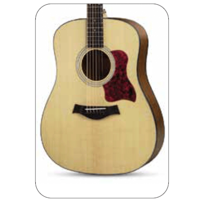 Vermont MS300/D100-N Chitarra Dreadnought Natural