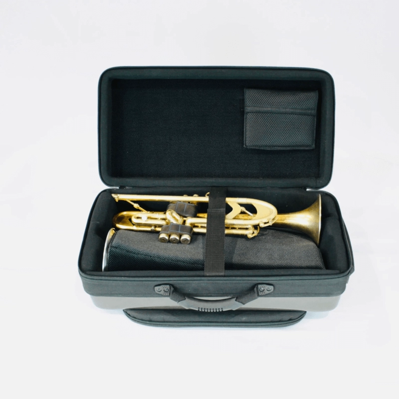 Bags EV3 Custodia Doppia per Tromba e Flicorno Blu