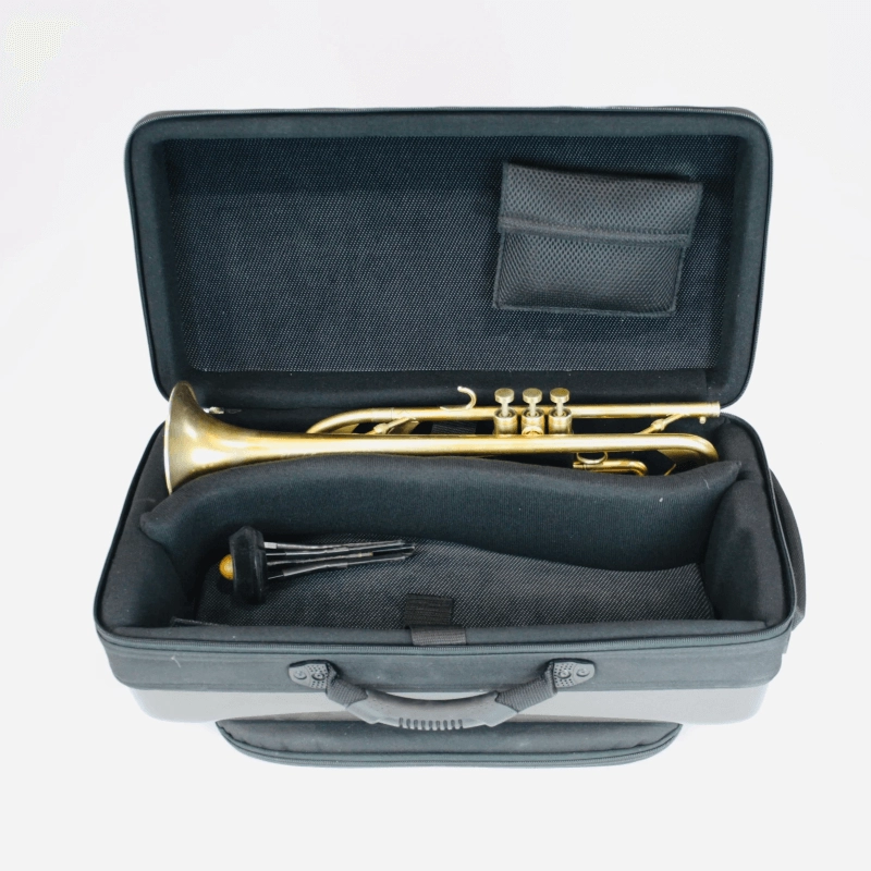 Bags EV3 Custodia Doppia per Tromba e Flicorno Blu