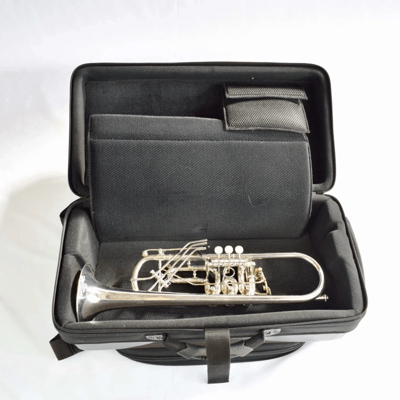 Bags EV3 Custodia Doppia per Tromba e Flicorno Blu