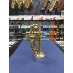 usato Amborg Serie Professional Trombino in Sib Tre Pistoni