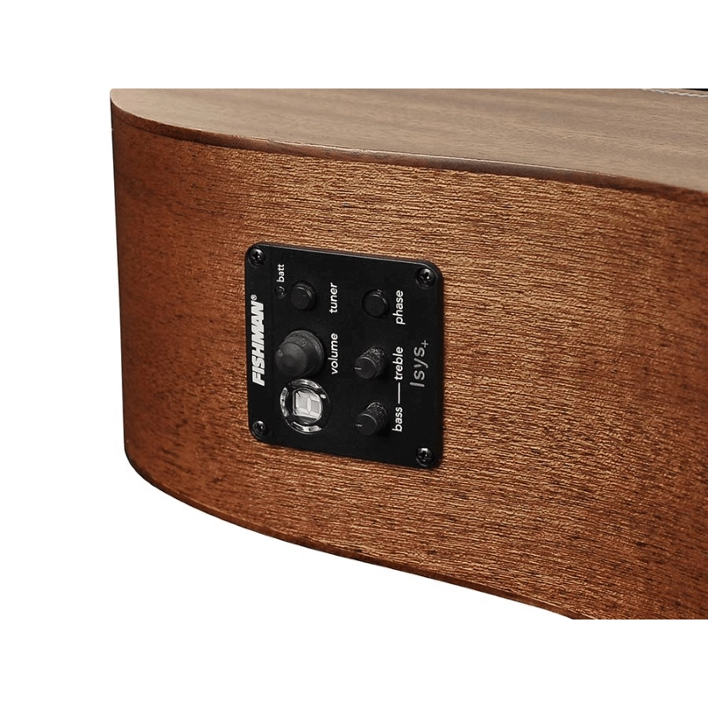 Richwood A-50-CE Chitarra acustica auditorium elettrificata