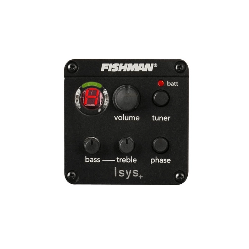 Richwood A-50-CE Chitarra acustica auditorium elettrificata