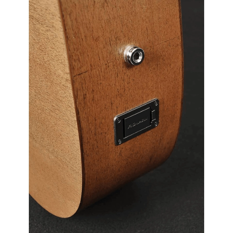 Richwood A-50-CE Chitarra acustica auditorium elettrificata