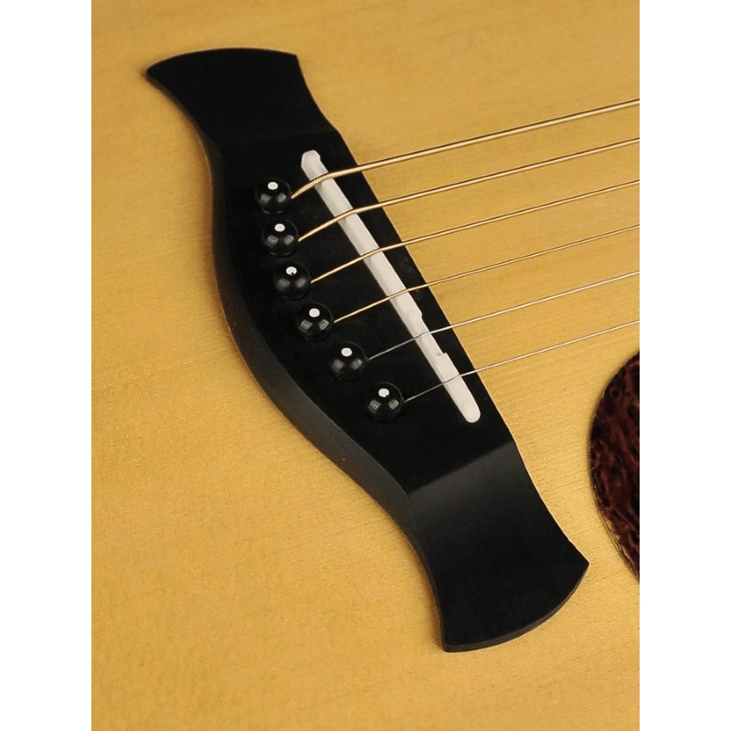 Richwood A-70-EVA Chitarra acustica auditorium elettrificata