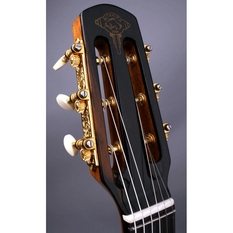 Altamira M10D Chitarra Gitane DJANGO
Buca a "D" con custodia