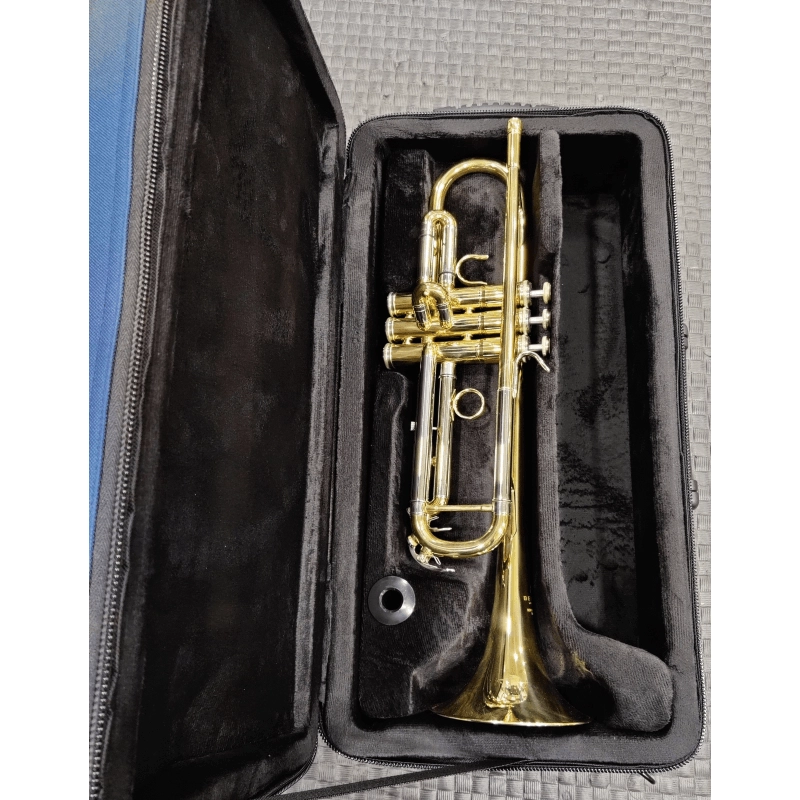 Arnold & Sons Custodia per Tromba Grigia/Blu