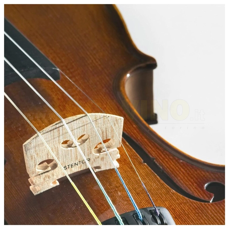 Stentor Violino Student II 4/4 Settato