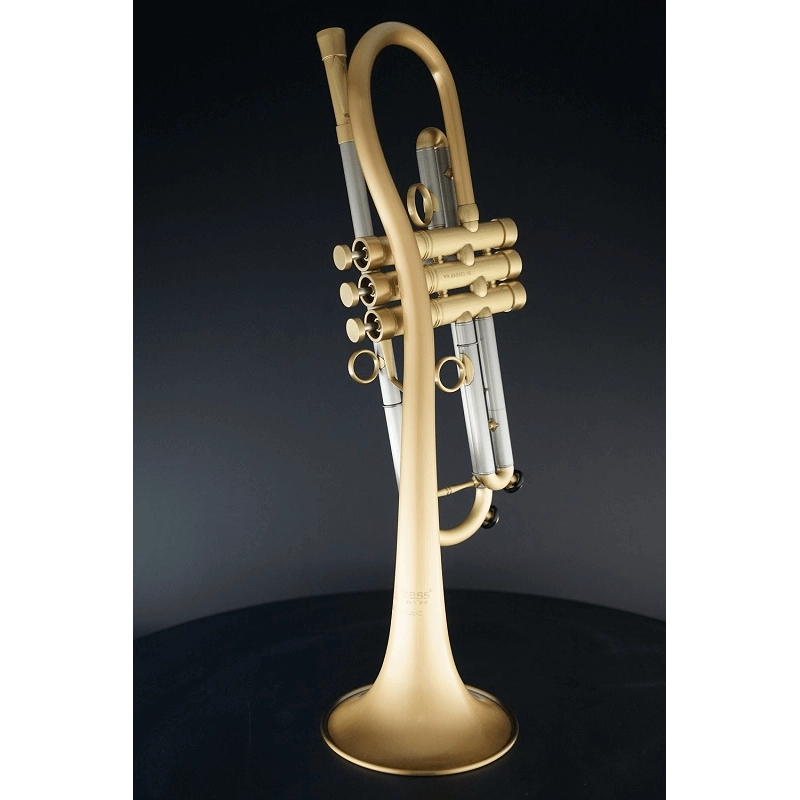 Carol Brass CTR-5280LGLT (D) Baro Model Tromba in Sib Satinata